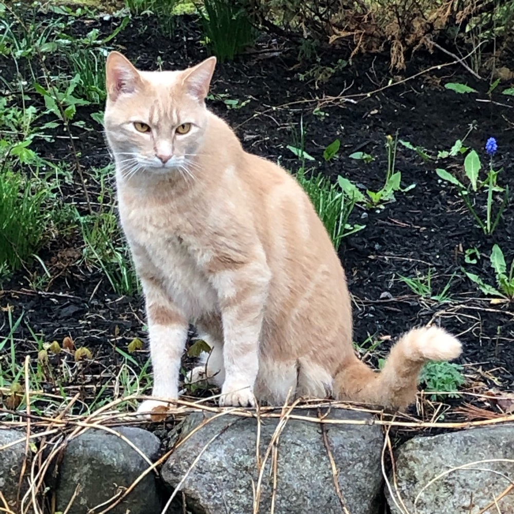 Meet your Posher, Shannon